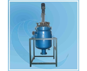 浙江300L Reactor with PTFE 