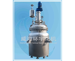 浙江500L Polymerization Reactor